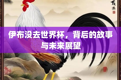 伊布没去世界杯，背后的故事与未来展望