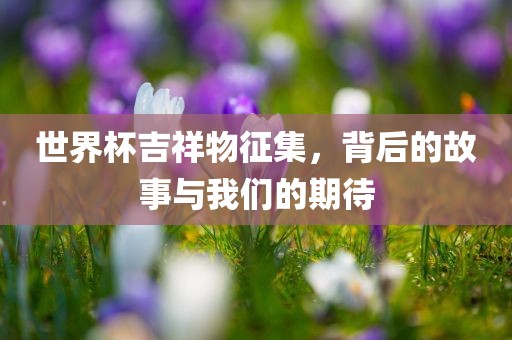 世界杯吉祥物征集，背后的故事与我们的期待
