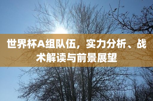 世界杯A组队伍，实力分析、战术解读与前景展望