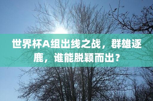 世界杯A组出线之战，群雄逐鹿，谁能脱颖而出？