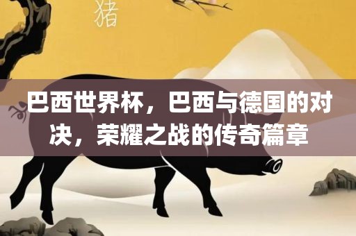 巴西世界杯，巴西与德国的对决，荣耀之战的传奇篇章