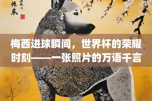 梅西进球瞬间，世界杯的荣耀时刻——一张照片的万语千言