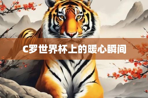 C罗世界杯上的暖心瞬间