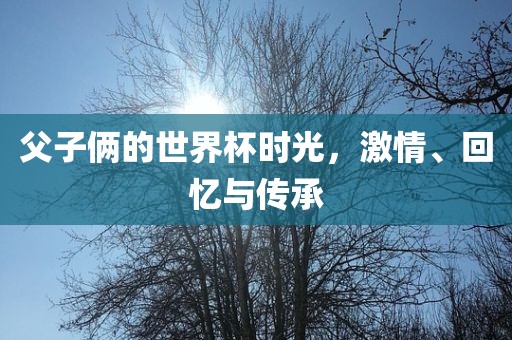 父子俩的世界杯时光，激情、回忆与传承