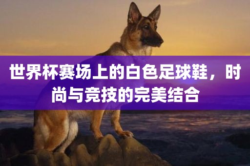 世界杯赛场上的白色足球鞋，时尚与竞技的完美结合
