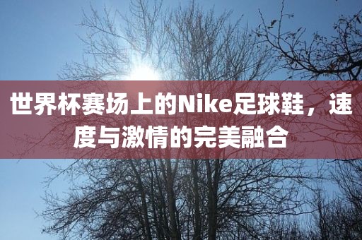 世界杯赛场上的Nike足球鞋，速度与激情的完美融合