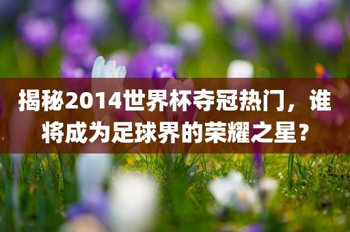 揭秘2014世界杯夺冠热门，谁将成为足球界的荣耀之星？
