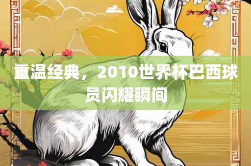 重温经典，2010世界杯巴西球员闪耀瞬间