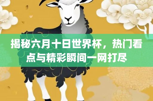 揭秘六月十日世界杯，热门看点与精彩瞬间一网打尽