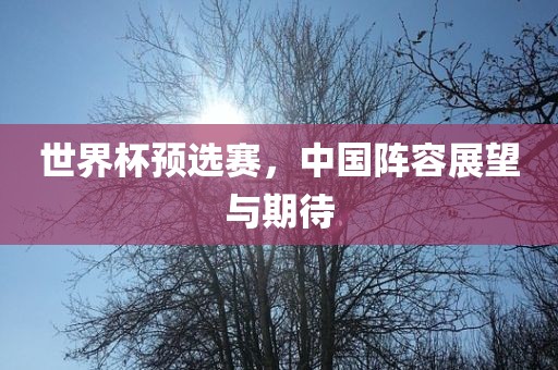 世界杯预选赛，中国阵容展望与期待