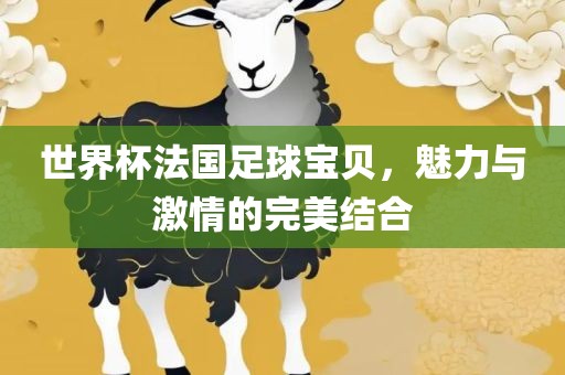 世界杯法国足球宝贝，魅力与激情的完美结合