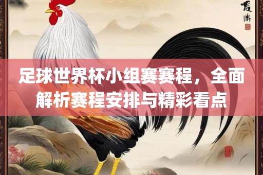 足球世界杯小组赛赛程，全面解析赛程安排与精彩看点