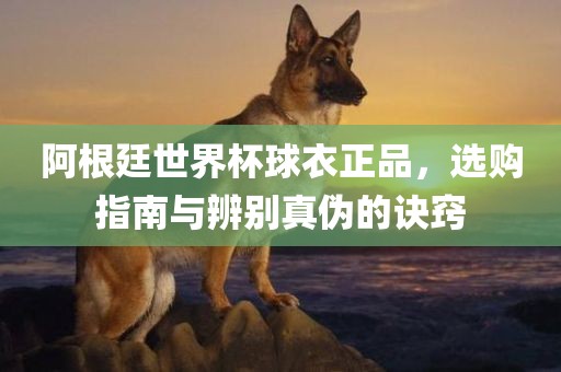 阿根廷世界杯球衣正品，选购指南与辨别真伪的诀窍