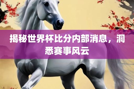 揭秘世界杯比分内部消息，洞悉赛事风云