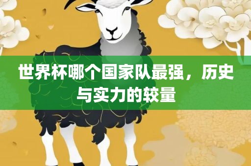 世界杯哪个国家队最强，历史与实力的较量