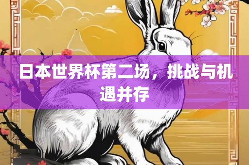 日本世界杯第二场，挑战与机遇并存