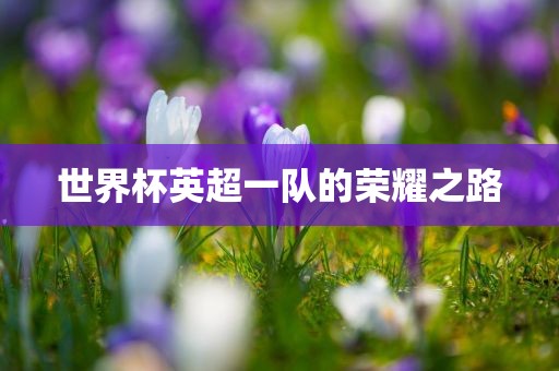 世界杯英超一队的荣耀之路