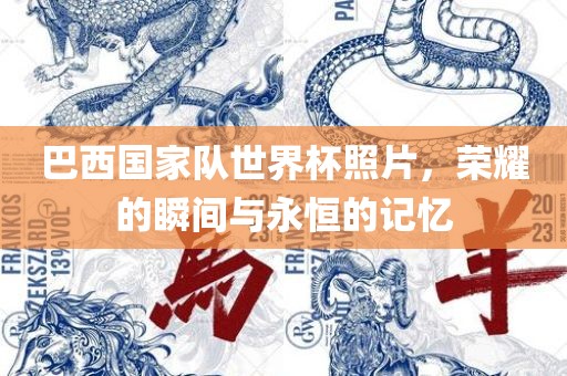 巴西国家队世界杯照片，荣耀的瞬间与永恒的记忆
