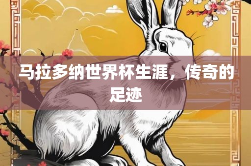 马拉多纳世界杯生涯，传奇的足迹
