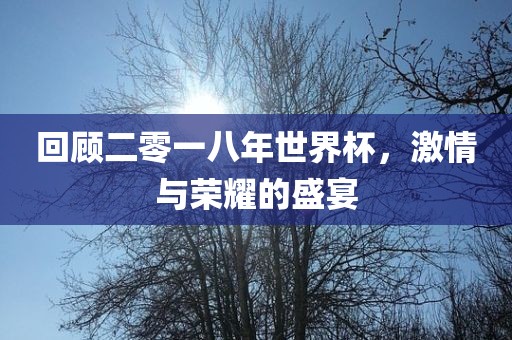 回顾二零一八年世界杯，激情与荣耀的盛宴