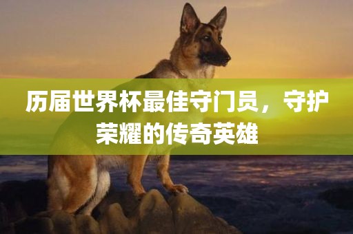 历届世界杯最佳守门员，守护荣耀的传奇英雄