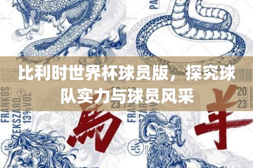 比利时世界杯球员版，探究球队实力与球员风采