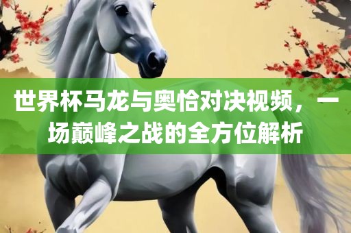 世界杯马龙与奥恰对决视频，一场巅峰之战的全方位解析