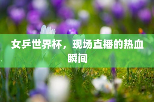女乒世界杯，现场直播的热血瞬间