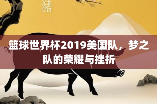 篮球世界杯2019美国队，梦之队的荣耀与挫折
