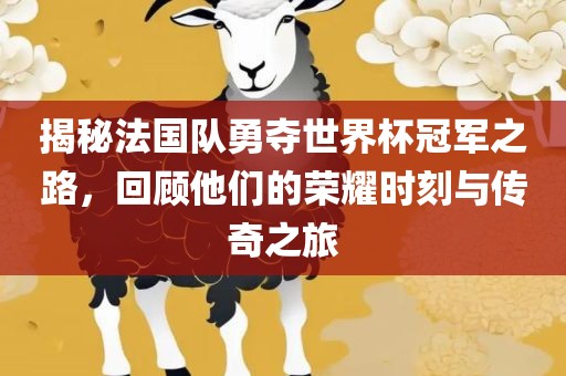 揭秘法国队勇夺世界杯冠军之路，回顾他们的荣耀时刻与传奇之旅