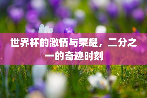 世界杯的激情与荣耀，二分之一的奇迹时刻