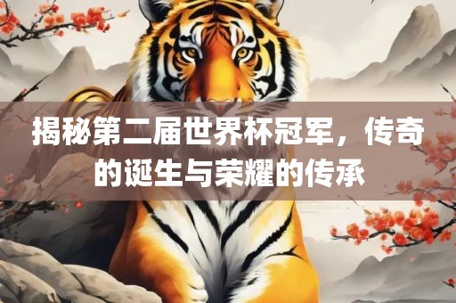 揭秘第二届世界杯冠军，传奇的诞生与荣耀的传承
