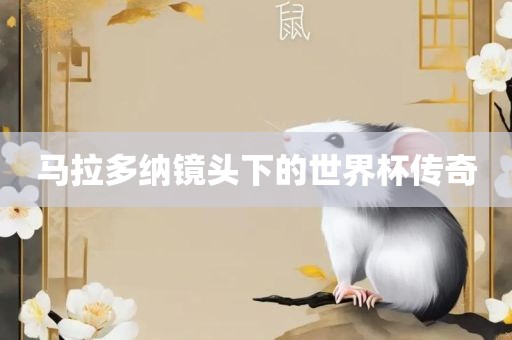 马拉多纳镜头下的世界杯传奇