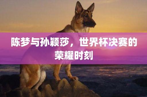 陈梦与孙颖莎，世界杯决赛的荣耀时刻