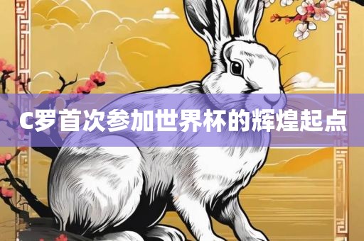C罗首次参加世界杯的辉煌起点