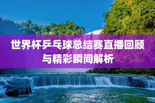 世界杯乒乓球总结赛直播回顾与精彩瞬间解析