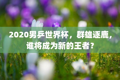2020男乒世界杯，群雄逐鹿，谁将成为新的王者？