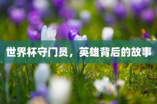 世界杯守门员，英雄背后的故事