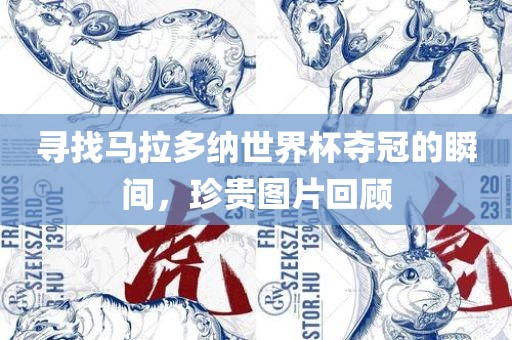 寻找马拉多纳世界杯夺冠的瞬间，珍贵图片回顾
