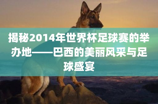 揭秘2014年世界杯足球赛的举办地——巴西的美丽风采与足球盛宴