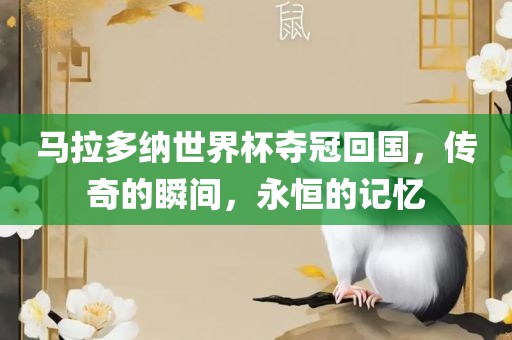 马拉多纳世界杯夺冠回国，传奇的瞬间，永恒的记忆