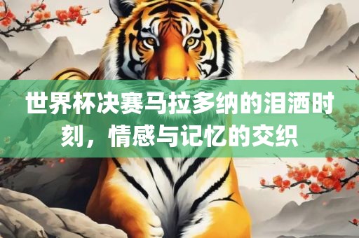 世界杯决赛马拉多纳的泪洒时刻，情感与记忆的交织