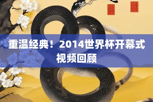 重温经典！2014世界杯开幕式视频回顾