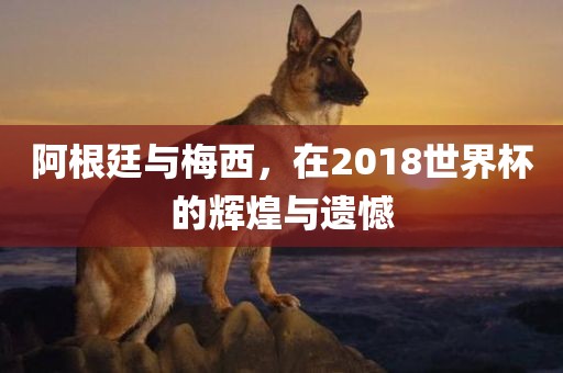 阿根廷与梅西，在2018世界杯的辉煌与遗憾
