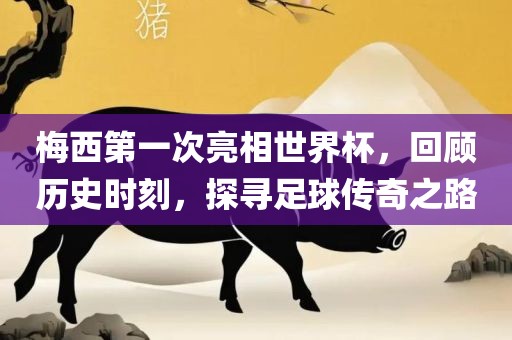 梅西第一次亮相世界杯，回顾历史时刻，探寻足球传奇之路