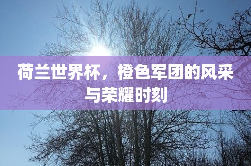 荷兰世界杯，橙色军团的风采与荣耀时刻