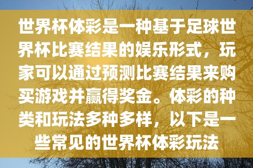 世界杯体彩是一种基于足球世界杯比赛结果的娱乐形式，玩家可以通过预测比赛结果来购买游戏并赢得奖金。体彩的种类和玩法多种多样，以下是一些常见的世界杯体彩玩法