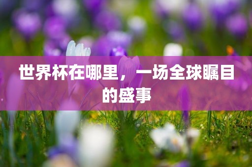 世界杯在哪里，一场全球瞩目的盛事