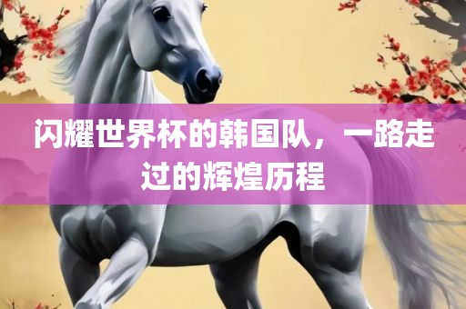 闪耀世界杯的韩国队，一路走过的辉煌历程