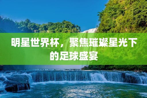 明星世界杯，聚焦璀璨星光下的足球盛宴